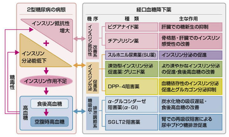 病態にあわせた経口血糖降下薬の選択